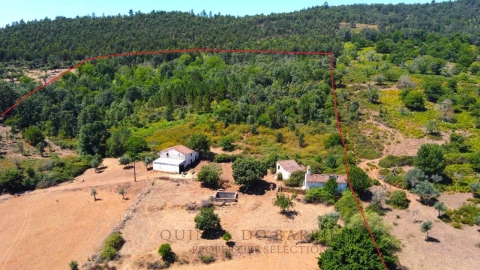 Quinta T2 para Venda em São Salvador da Aramenha