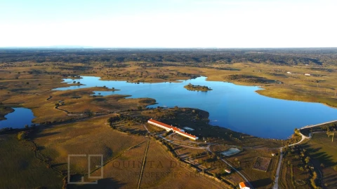 Quinta T32 para Venda em Chancelaria