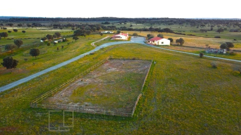 Quinta T32 para Venda em Chancelaria