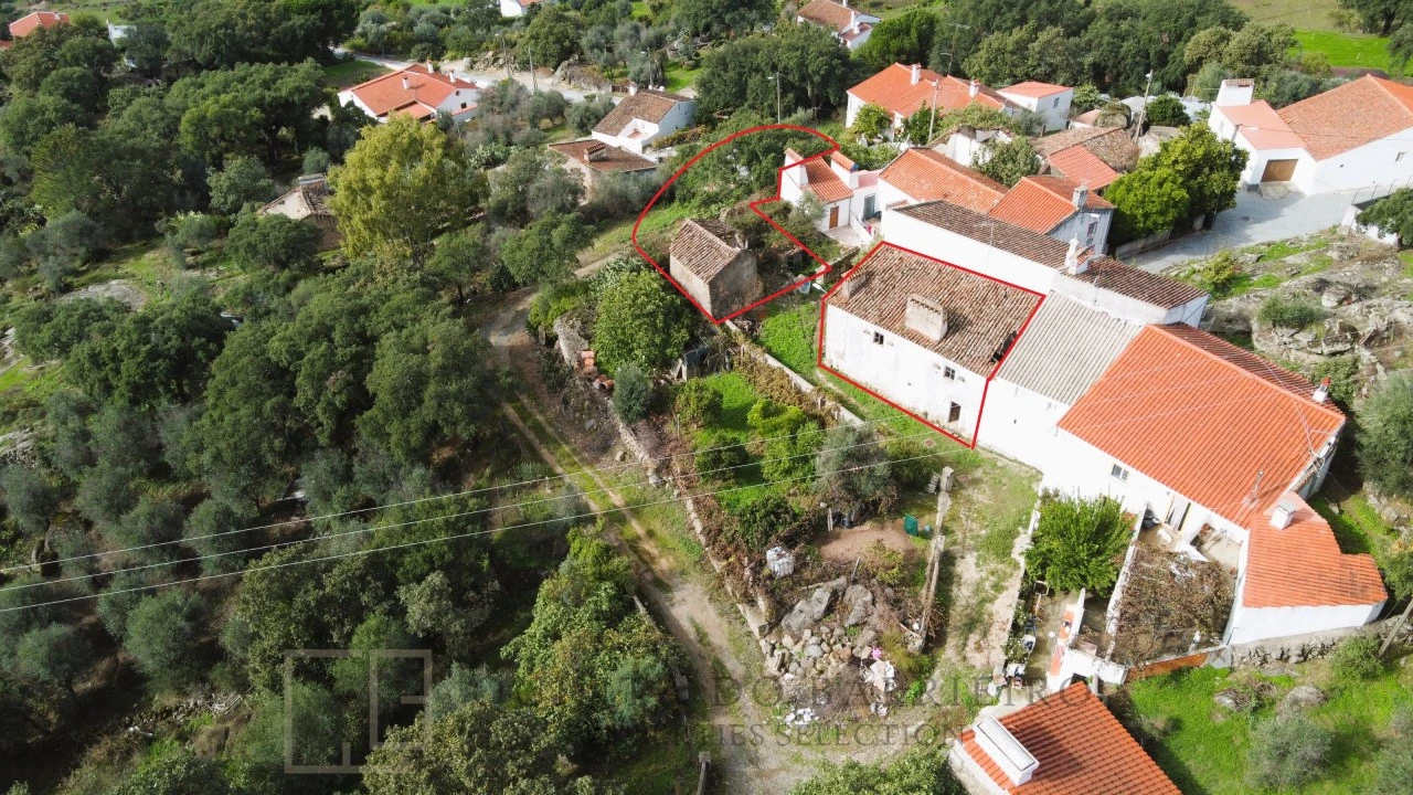 Terreno para Venda em Ribeira de Nisa e Carreiras Foto 5