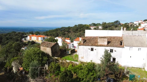 Terreno para Venda em Ribeira de Nisa e Carreiras
