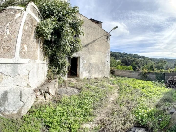 Terreno para Venda em Ribeira de Nisa e Carreiras