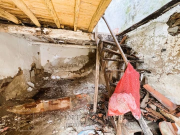 Terreno para Venda em Ribeira de Nisa e Carreiras