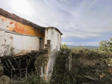 Terreno para Venda em Ribeira de Nisa e Carreiras