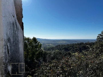 Terreno para Venda em Ribeira de Nisa e Carreiras