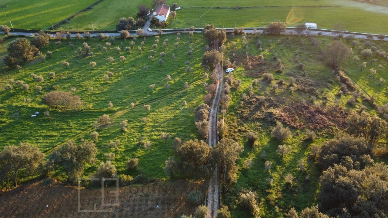 Terreno Agricola ou Rústico para Venda em Alegrete Foto 13