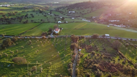 Terreno Agricola ou Rústico para Venda em Alegrete