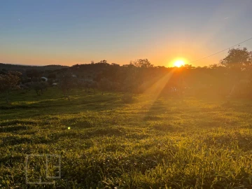 Terreno Agricola ou Rústico para Venda em Alegrete