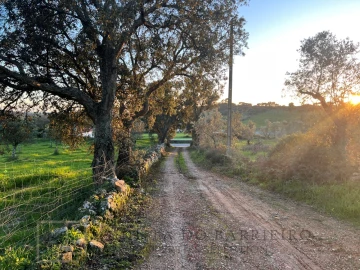 Terreno Agricola ou Rústico para Venda em Alegrete