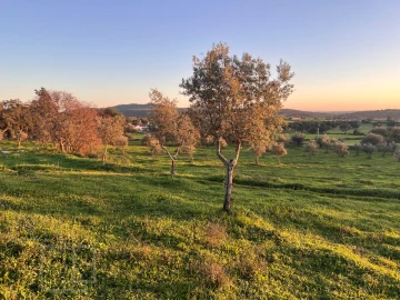 Terreno Agricola ou Rústico para Venda em Alegrete
