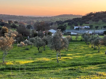 Terreno Agricola ou Rústico para Venda em Alegrete