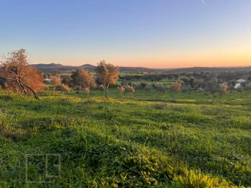 Terreno Agricola ou Rústico para Venda em Alegrete