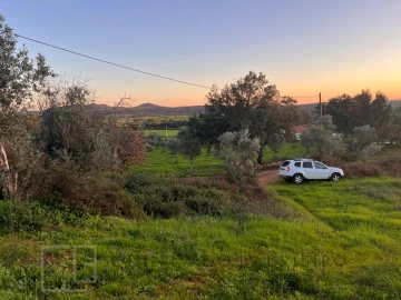 Terreno Agricola ou Rústico para Venda em Alegrete