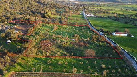 Terreno Agricola ou Rústico para Venda em Alegrete