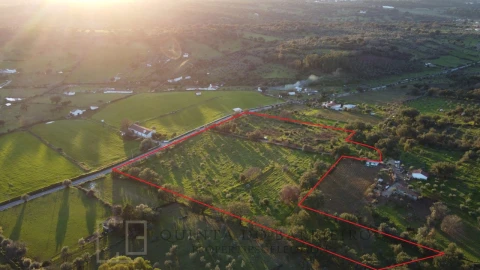 Terreno Agricola ou Rústico para Venda em Alegrete
