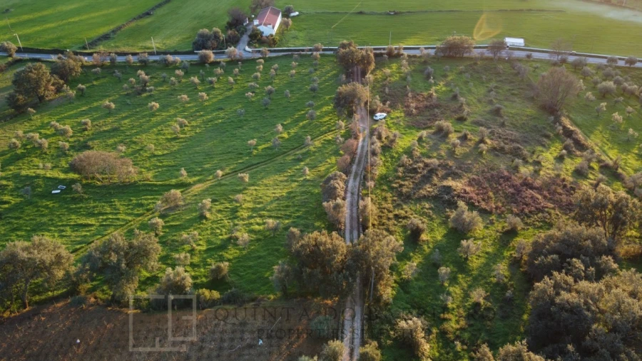 Terreno Agricola ou Rústico para Venda em Alegrete Foto 13