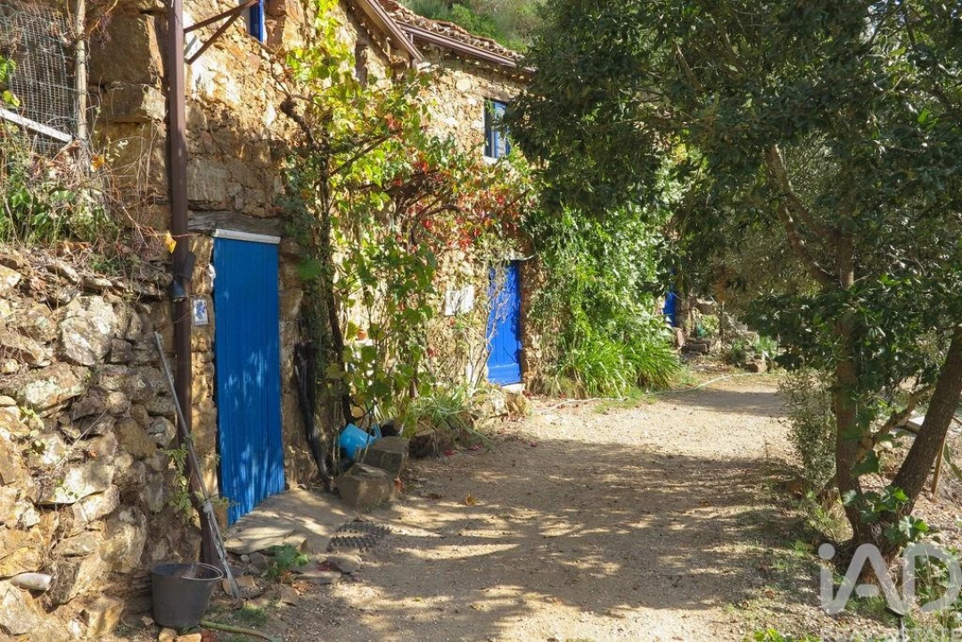 Quinta para Venda em Figueiró dos Vinhos e Bairradas Foto 4