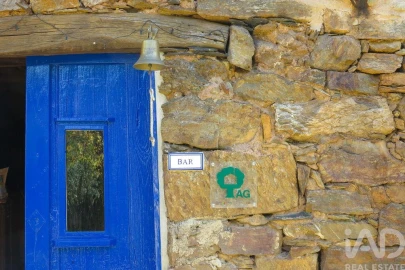Quinta para Venda em Figueiró dos Vinhos e Bairradas