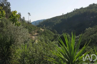 Quinta para Venda em Figueiró dos Vinhos e Bairradas