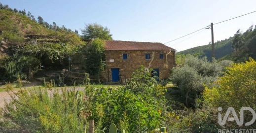 Quinta para Venda em Figueiró dos Vinhos e Bairradas