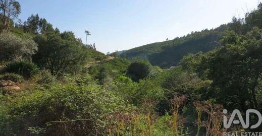 Quinta para Venda em Figueiró dos Vinhos e Bairradas