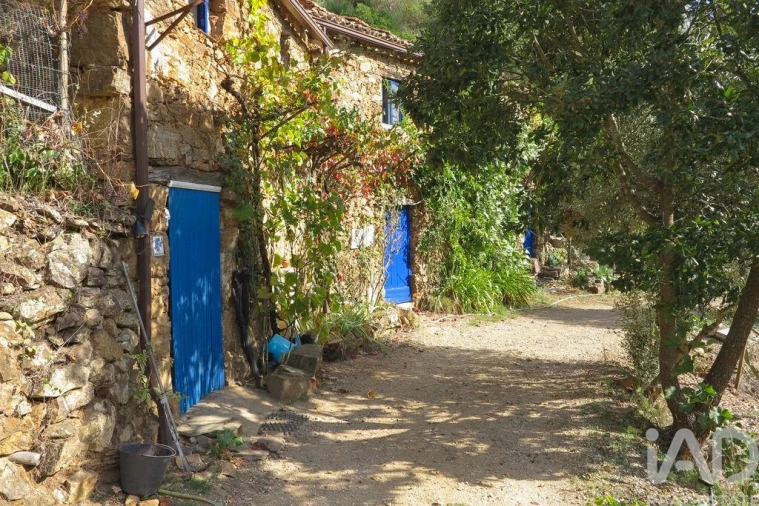 Quinta para Venda em Figueiró dos Vinhos e Bairradas Foto 4