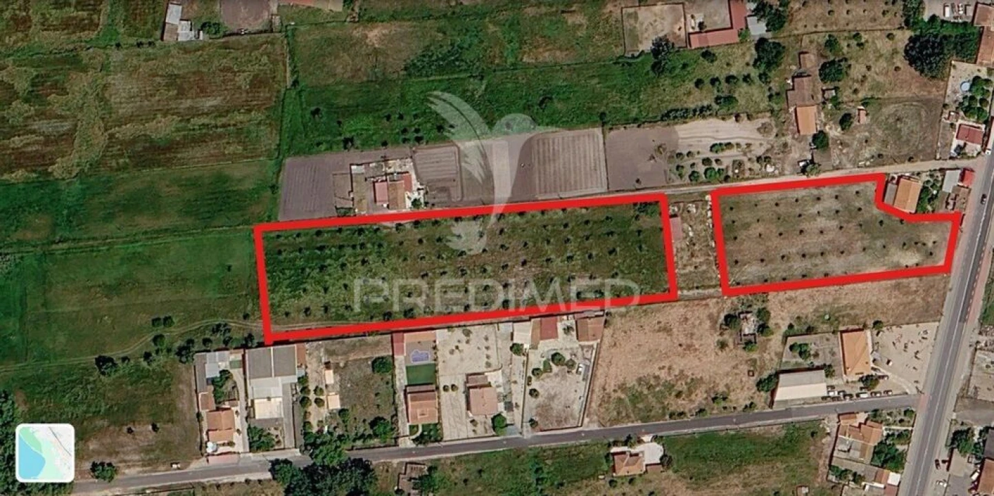 Terreno para Arrendamento em Grândola e Santa Margarida da Serra Foto 4