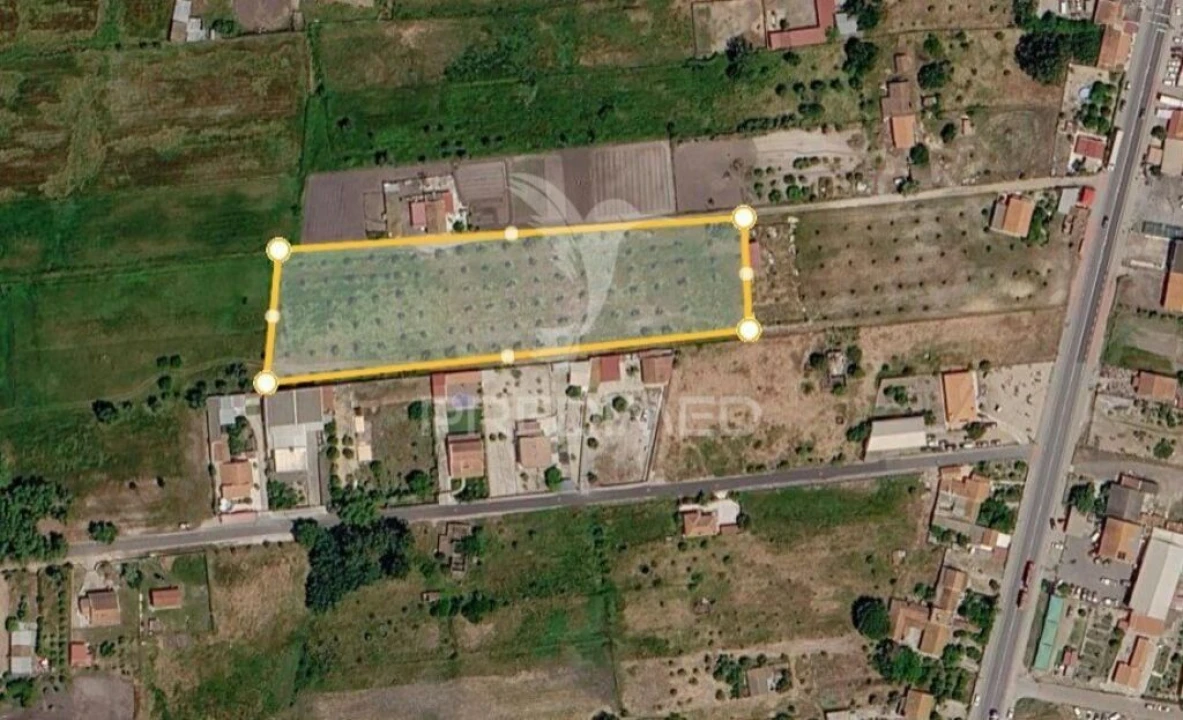 Terreno para Arrendamento em Grândola e Santa Margarida da Serra Foto 1