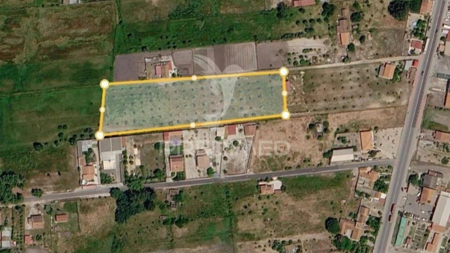 Terreno para Arrendamento em Grândola e Santa Margarida da Serra