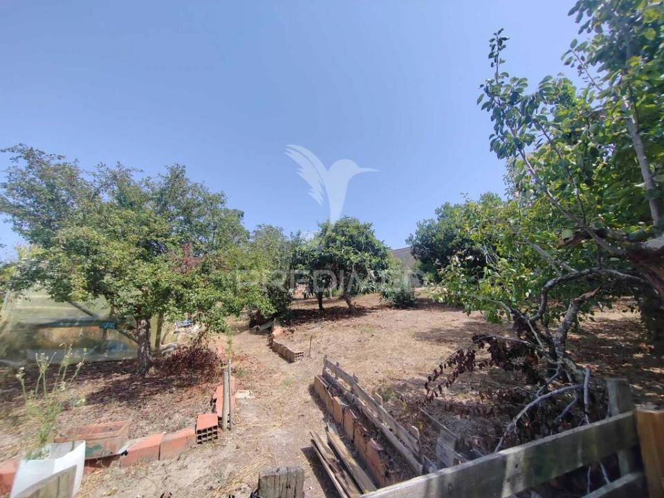 Moradia T2 para Venda em Santa Maria, São Pedro e Matacães Foto 10