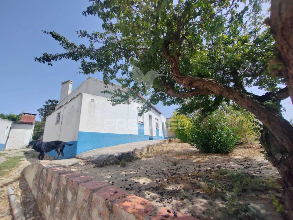 Moradia T2 para Venda em Santa Maria, São Pedro e Matacães Foto 5