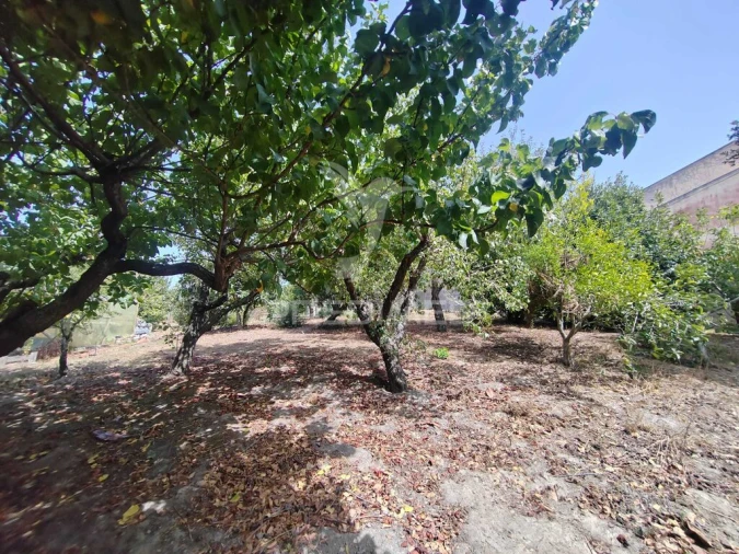 Moradia T2 para Venda em Santa Maria, São Pedro e Matacães Foto 9