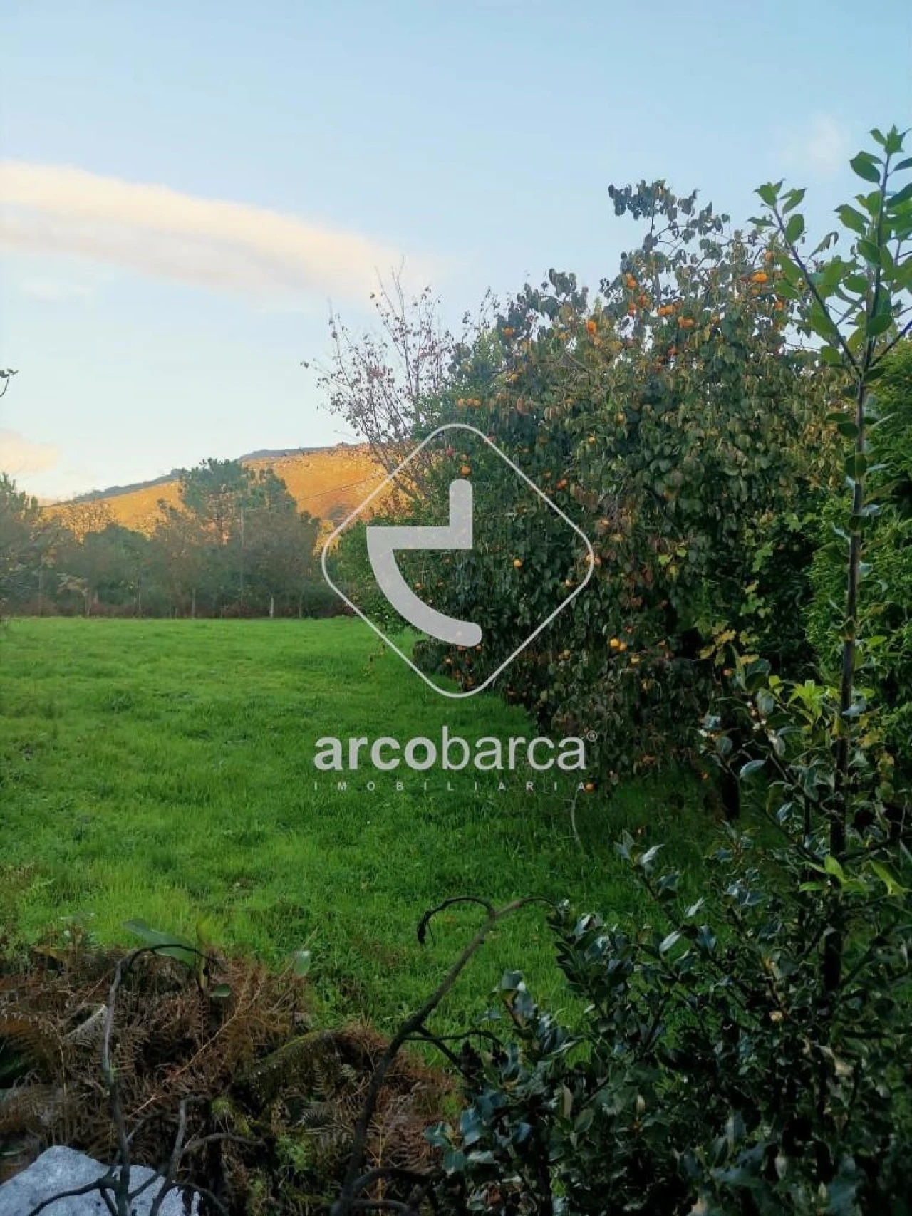 Terreno para Venda em Azias Foto 7