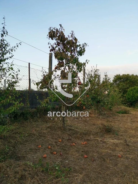 Terreno para Venda em Azias