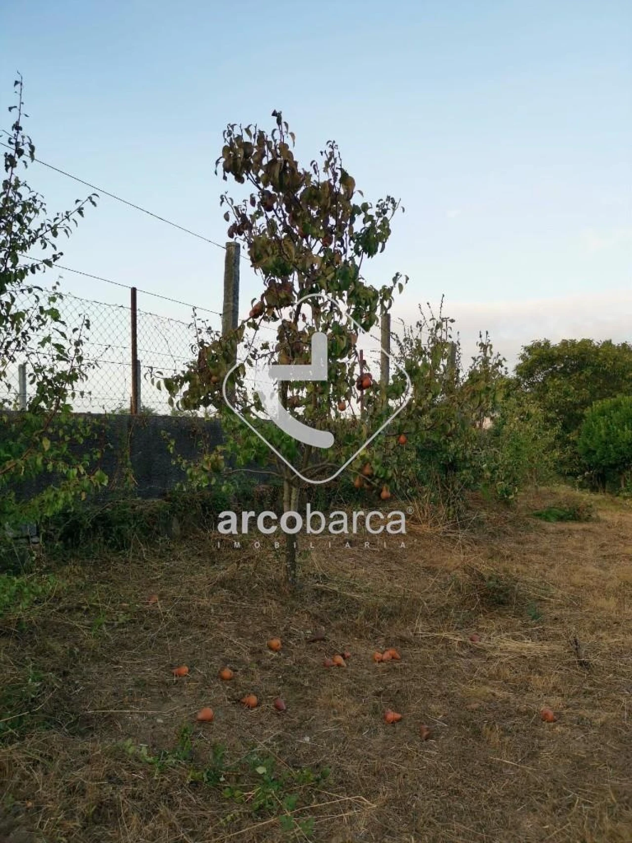 Terreno para Venda em Azias Foto 11