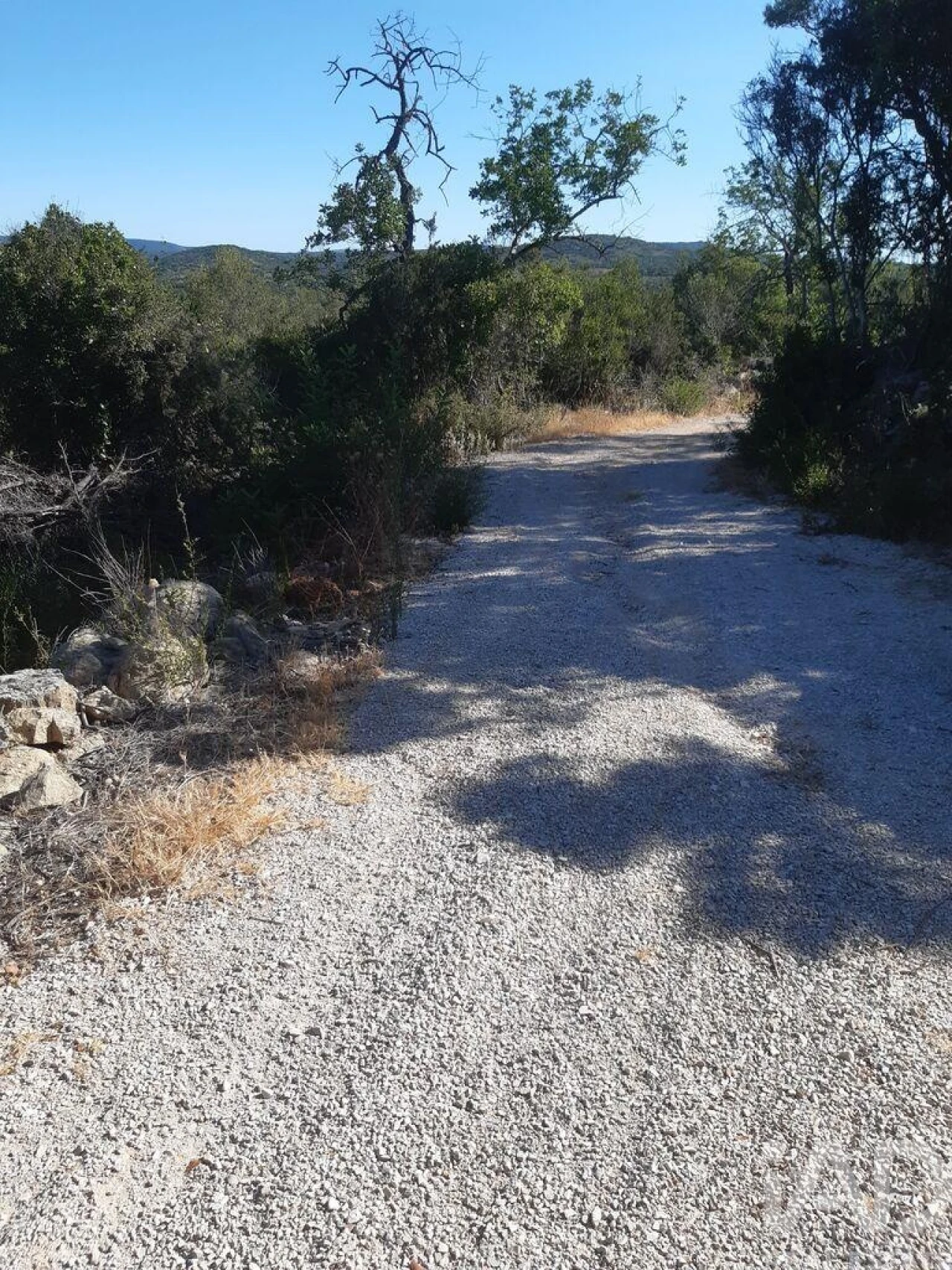 Terreno para Venda em Paderne Foto 7