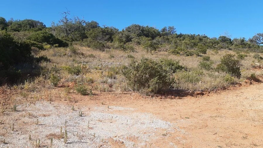 Terreno para Venda em Paderne
