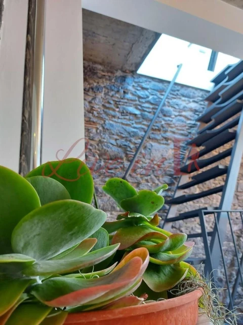 Moradia T1 para Venda em Jardim do Mar