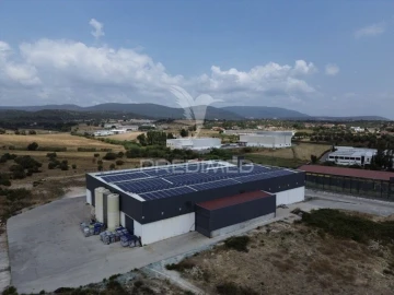 Armazém para Venda em Monsanto