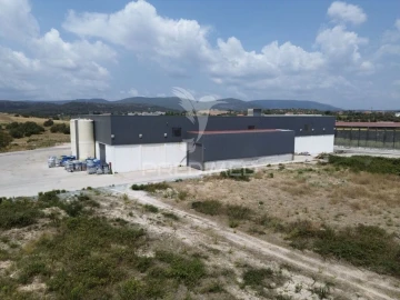 Armazém para Venda em Monsanto