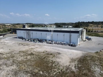 Armazém para Venda em Monsanto