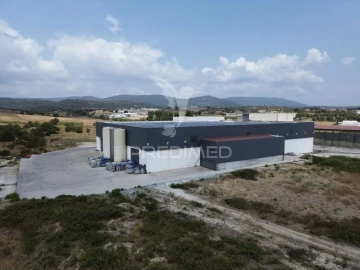 Armazém para Venda em Monsanto