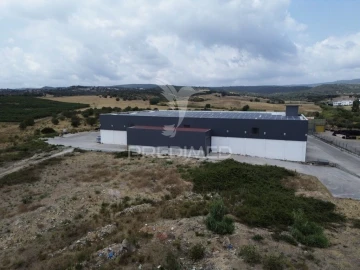 Armazém para Venda em Monsanto