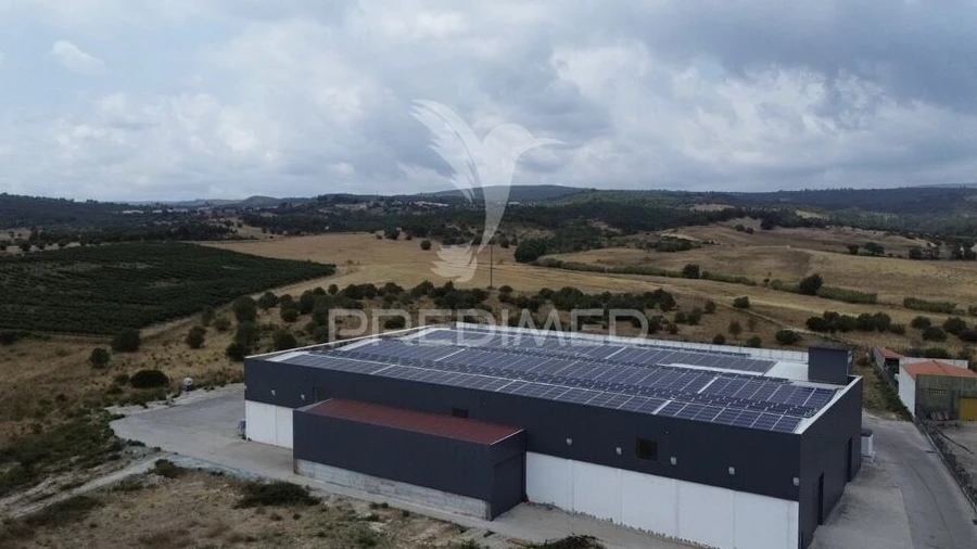 Armazém para Venda em Monsanto