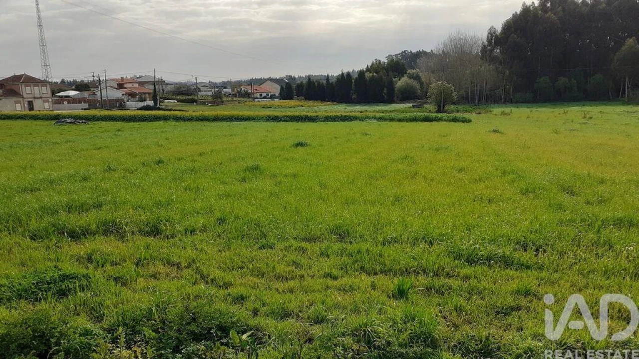 Terreno para Venda em Eixo e Eirol Foto 8