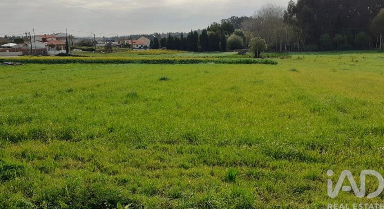 Terreno para Venda em Eixo e Eirol Foto 6