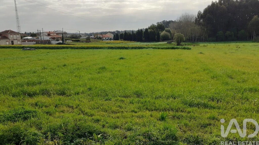 Terreno para Venda em Eixo e Eirol Foto 8
