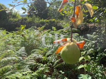 Moradia T2 para Venda em Lavegadas