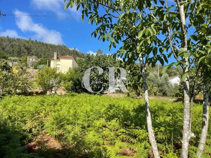 Moradia T2 para Venda em Lavegadas Foto 24