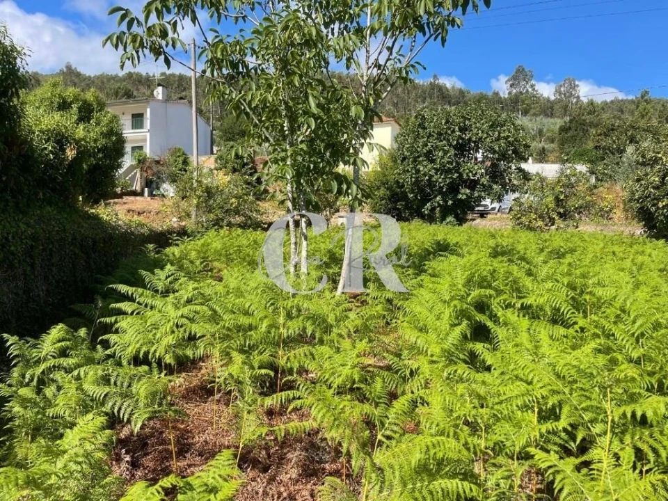 Moradia T2 para Venda em Lavegadas Foto 23